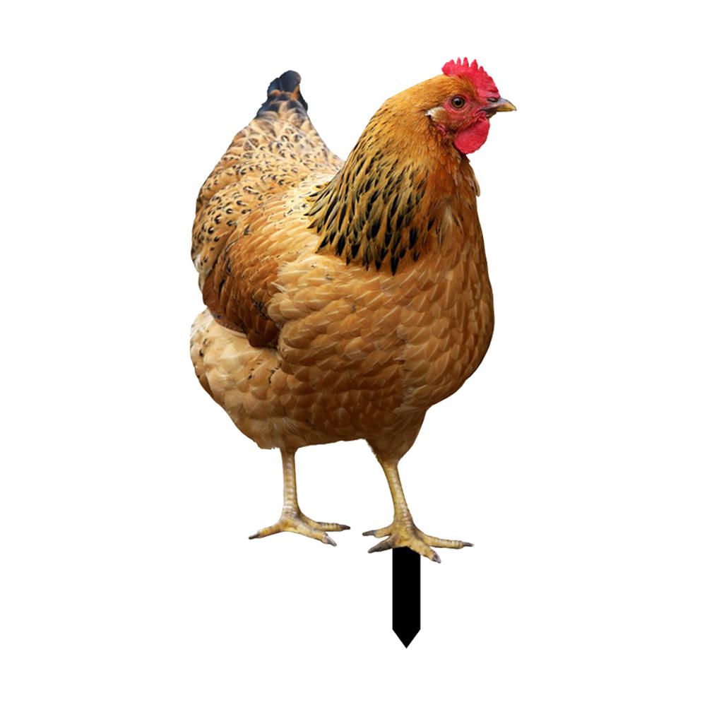 

Декор в виде цыпленка, реалистичный, экологически чистый, яркий цвет, акриловый петух, украшение для сада, украшение в виде петуха жёлтый
