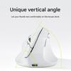 Type C Wireless Vertical Mouse 2.4G Ergonomic Mouse 4800DPI Mouse Bluetooth-compatible Optically Mouse for PC Computer