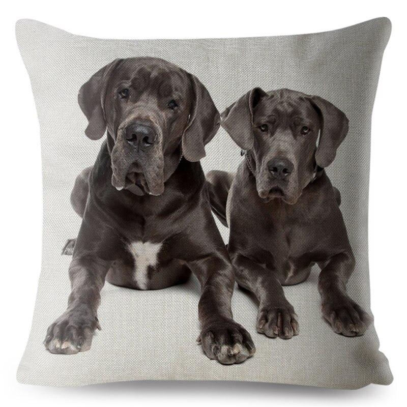 dog pillow case covers