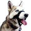 Pet Dog Muzzle Leash, Muzzle Cap, Dog Mouth Nose Ring, Training Dog, Anti-riot Collar, Outdoor Traction Rope, for Outdoor Dog Walking