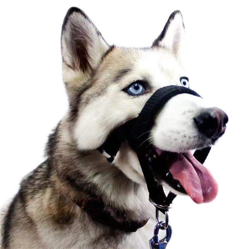 Pet Dog Muzzle Leash, Muzzle Cap, Dog Mouth Nose Ring, Training Dog, Anti-riot Collar, Outdoor Traction Rope, for Outdoor Dog Walking
