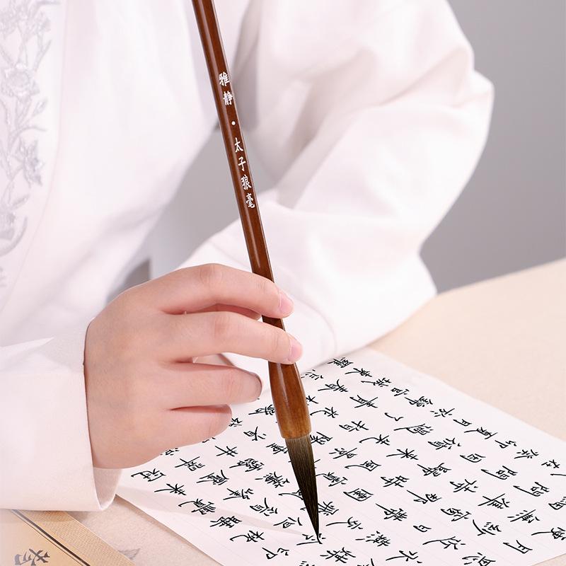 Elegant Quiet Wolf Hair Brush for Beginners: Chinese Painting & Calligraphy Practice, Large Character, Professional Grade Stationery.