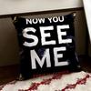 NNow You SSee Me Movie Cushion Cover Reversible Soft Durable Pillow Cover Home  Car MultiScene Use for Daily Comfort