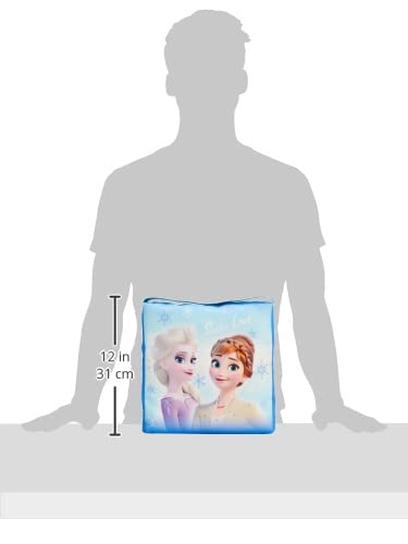 Marushin School School Disney Frozen 2 Dream Theater Kindergarten Entrance Kindergarten Entrance Nursery Elementary Character 2365001500 Cushion,