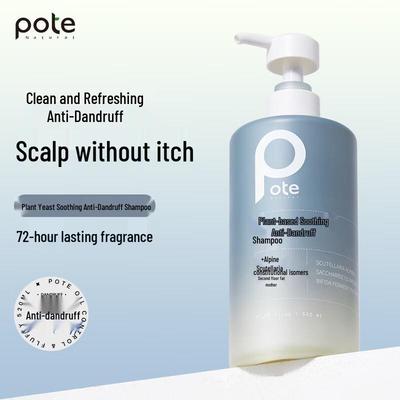 Shampoos & Haarspülung