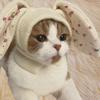 Warm Hat for Cat Bunny Costume Costume Accessories Warm Neck Cover Pet Headwear Snood Ear Wrap for Pets for Cat Puppy Pets Dog