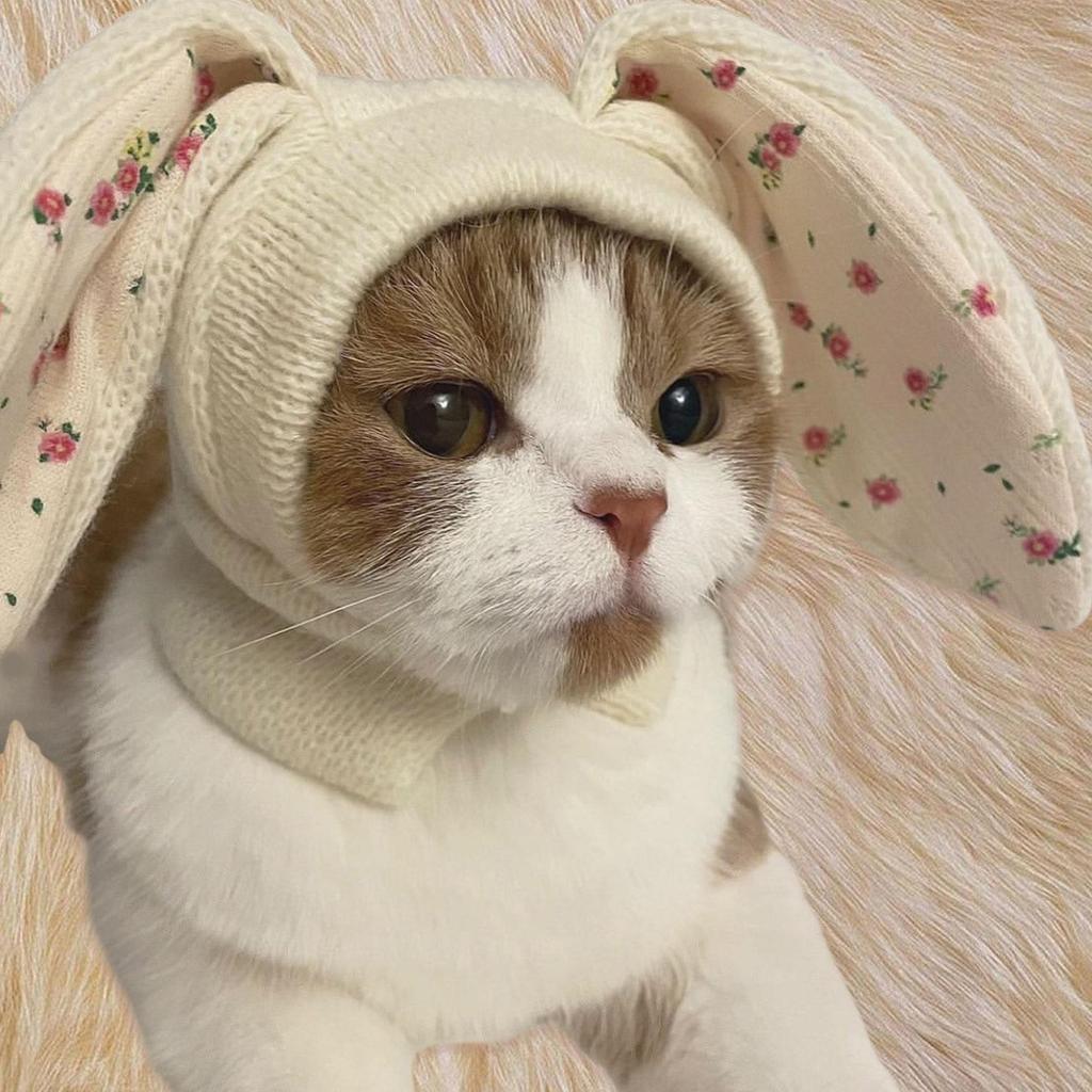 Warm Hat for Cat Bunny Costume Costume Accessories Warm Neck Cover Pet Headwear Snood Ear Wrap for Pets for Cat Puppy Pets Dog