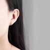 Tancise 925 Sterling Silver Zircon Earrings Drop Earrings For Women Wedding Party Gifts