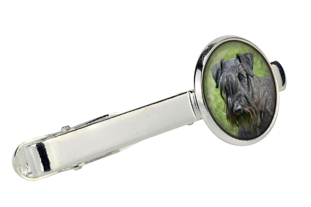 Cesky Terrier, Czech Terrier, Bohemian Terrier - cufflinks and tie with your photo, a suit decoration, men's jewelry from the Art-Dog brand.