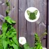 Plant Clips For Climbing Invisible Adhesive Reusable Butterfly Indoor Plant Climbing Fixture Clips For Pothos Clematis Home
