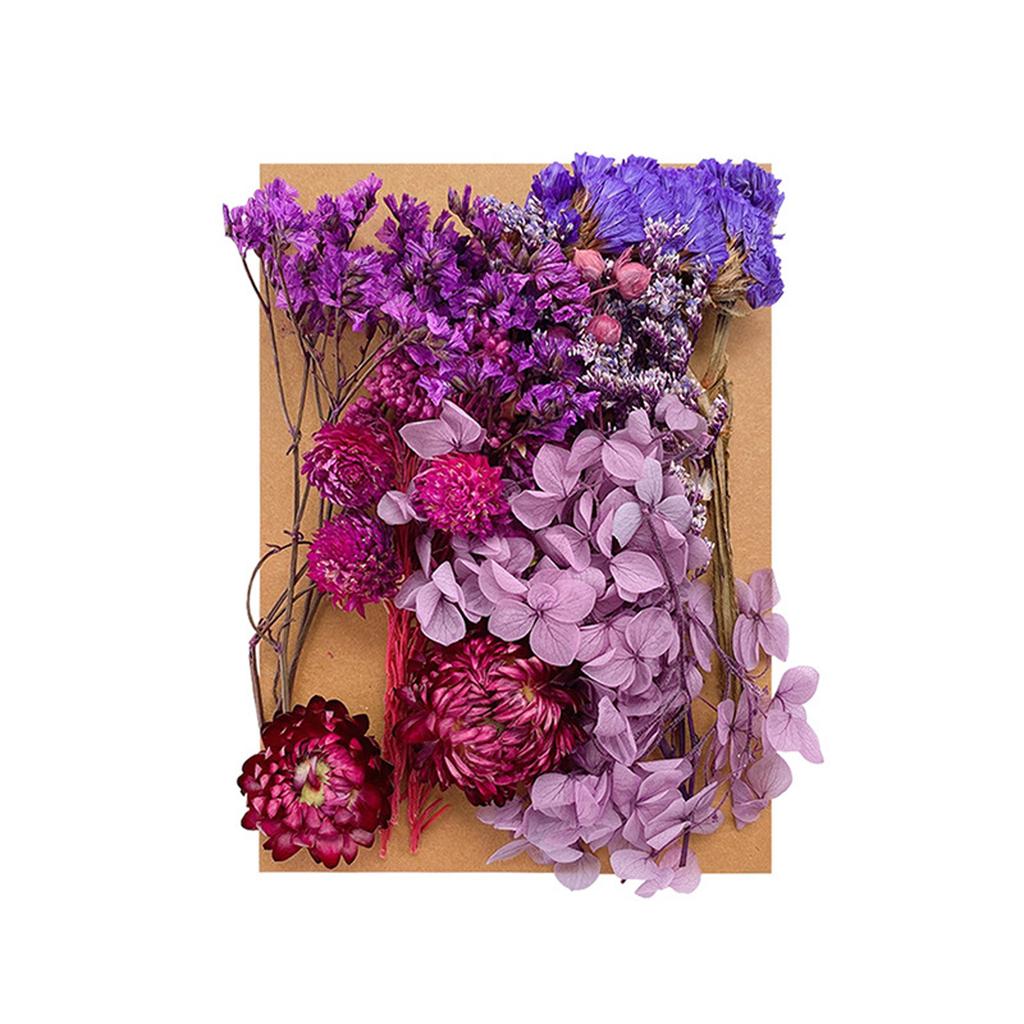 1 Bag Dried Flowers Pressed Dry Flower For DIY Phone Case Epoxy Resin Filling Pendant Jewelry Making Crafts Nail Art Decor