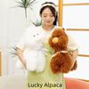 Chubby Face Plush Llama Dolls PP Cotton Animals Stuffed Toys Alpaca Plush Toys  Children Toys