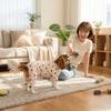 Breathable Dog Anti-hair Loss Clothing Soft Cozy Dog Recovery Suit Dog Pajamas  Indoor Outfit