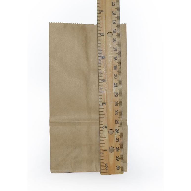 Extra Small Brown Paper Bags 3 x 2 x 6" party favors, X-Small ( 100 bags)