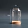 DIY Glass Dome Cloche Holder for Microlandscape and Home Display
