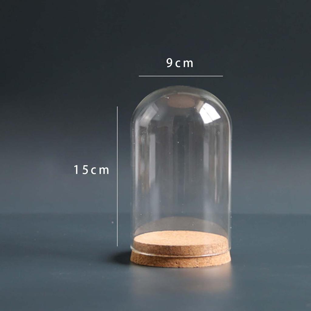 DIY Glass Dome Cloche Holder for Microlandscape and Home Display