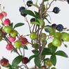 Künstliche Granatapfelbeeren Zweige Falsche Fruchtbeeren Picks mit Blättern für Heim-Blumenarrangements