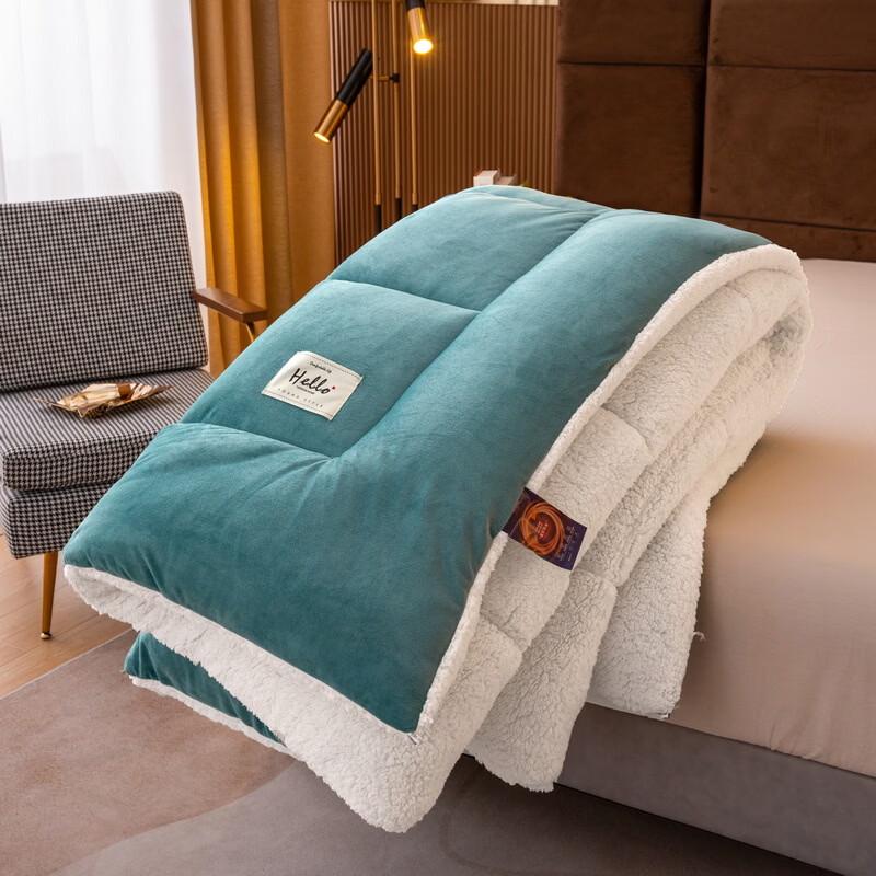 OLOEY Thick Milk Velvet Winter Quilt