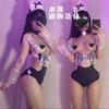 Sexy Lingerie Pussy Sexy Suspender Lace Hidden Button Onesie Cute Rabbit Maid Suit Female