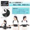 FiCOLY Back and Waist Posture Supporter with Mesh Back Posture Supporter, Pulleys, Support, 2-Way Belt, Corset, Unisex, FB-4 (L)
