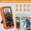 Auto Ranging Digital Multimeter+Test Leads