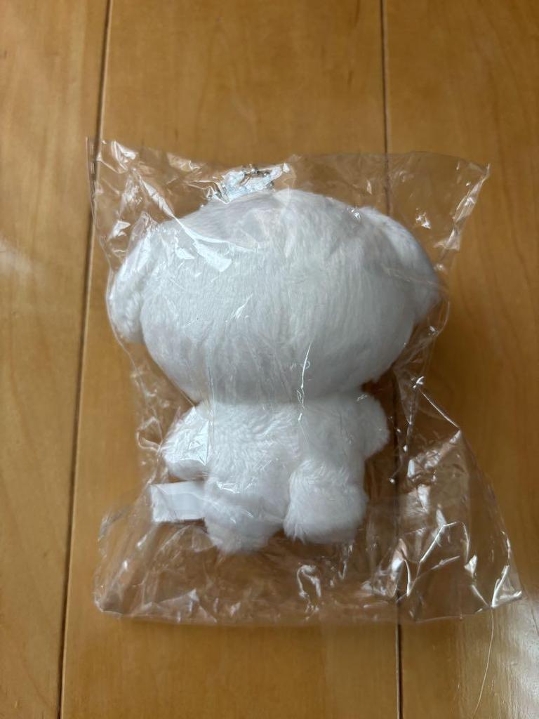 [USED] BTS Jungkook Master Plush Toy 10cm