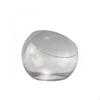 Micro Landscape Container High Transparent Nature Slant Cut Glass Bowl Creative Design Angled Mouth