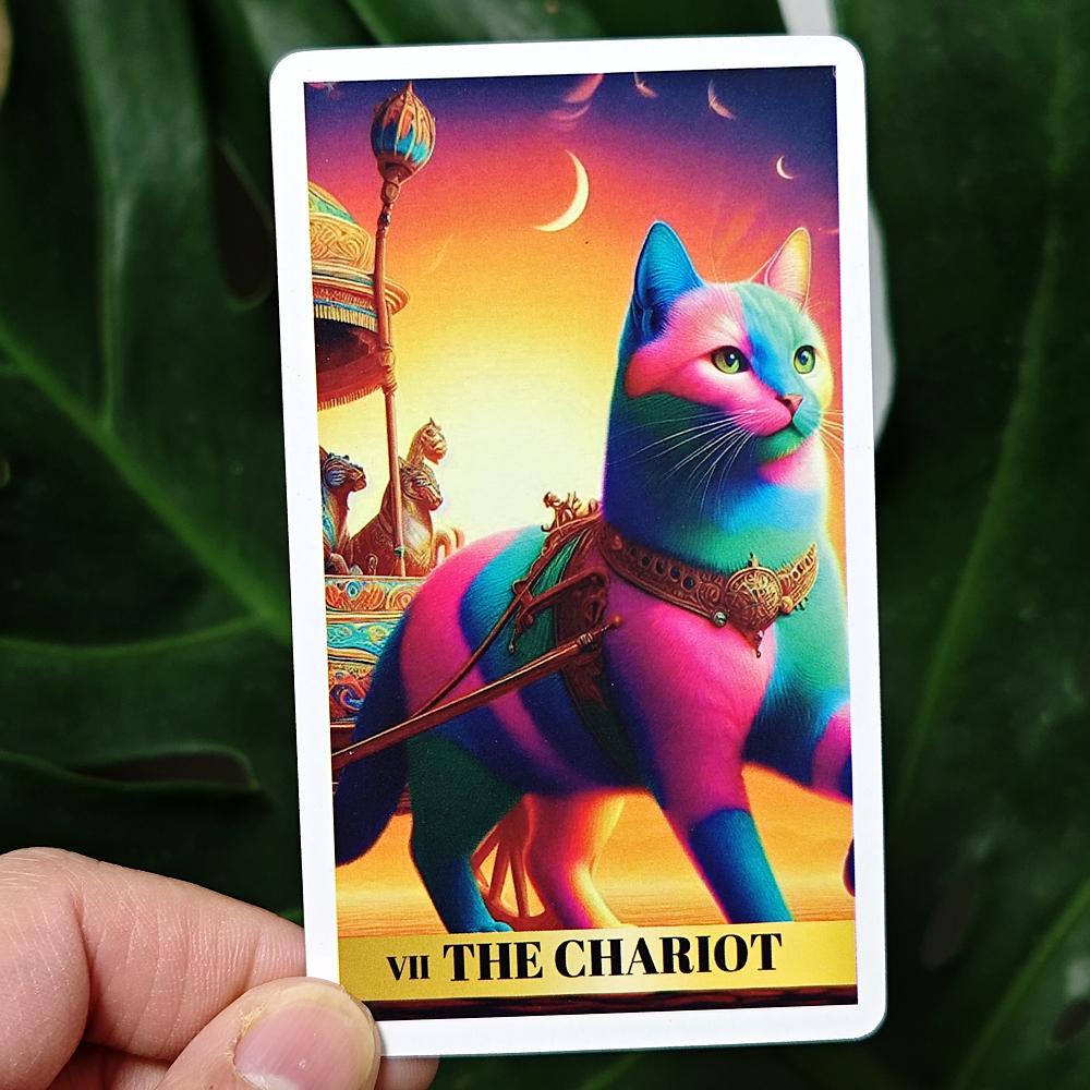 78 Carte dei Tarocchi del Gatto Colorate per Principianti Mazzo Felino Ricco di Colore e Fascino 10,3*6 cm