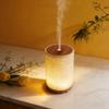 Ultrasonic Aroma Humidifier: Silent Bedroom Essential Oil Diffuser with Large Mist