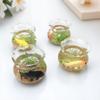 New Mini Micro Glass Fish Tank Bowl Aquarium Dollhouse Home Decor Toy Random Colors Aquarium Decor Miniature Aquarium Terrarium