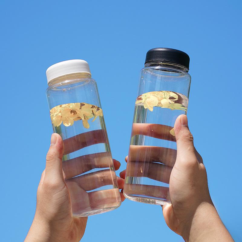 In-Stock 500ML Tritan Portable Outdoor Sports Water Bottle – Transparent