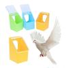 with Lid Pigeon Food Dispenser Plastic Pigeon Drinking Cups Hanging Bird Food Box  for Cage