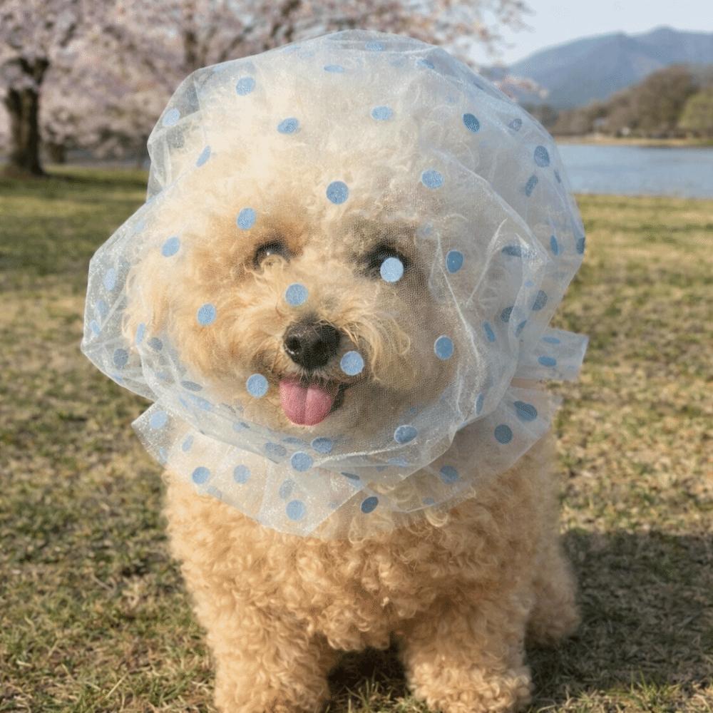 Mesh Pet Anti-Mosquito Headgear Adjustable Dog Protective Mask Portable Dog Face Mask Outdoor