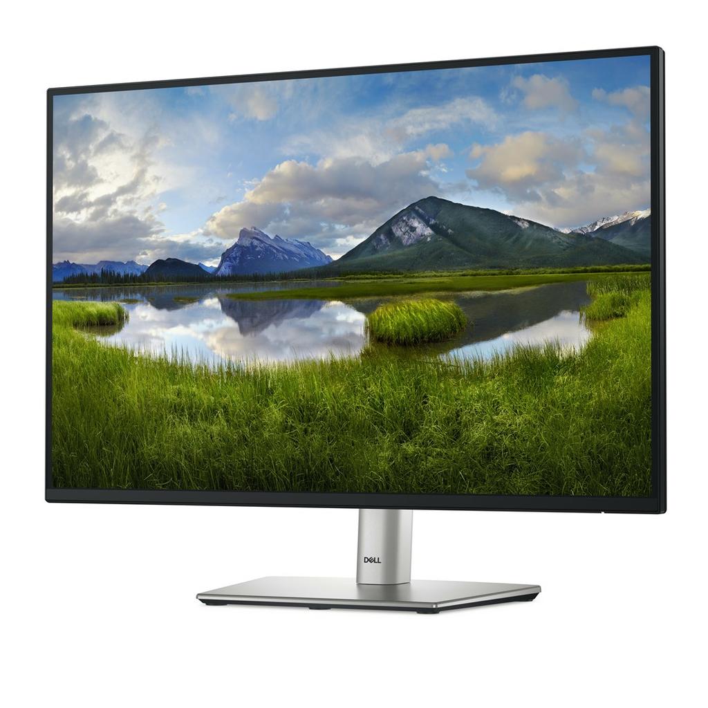 Dell Led 24 P2425E Monitor