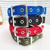 Pet Foam Collar - Available In 5 Cat Collar Designs