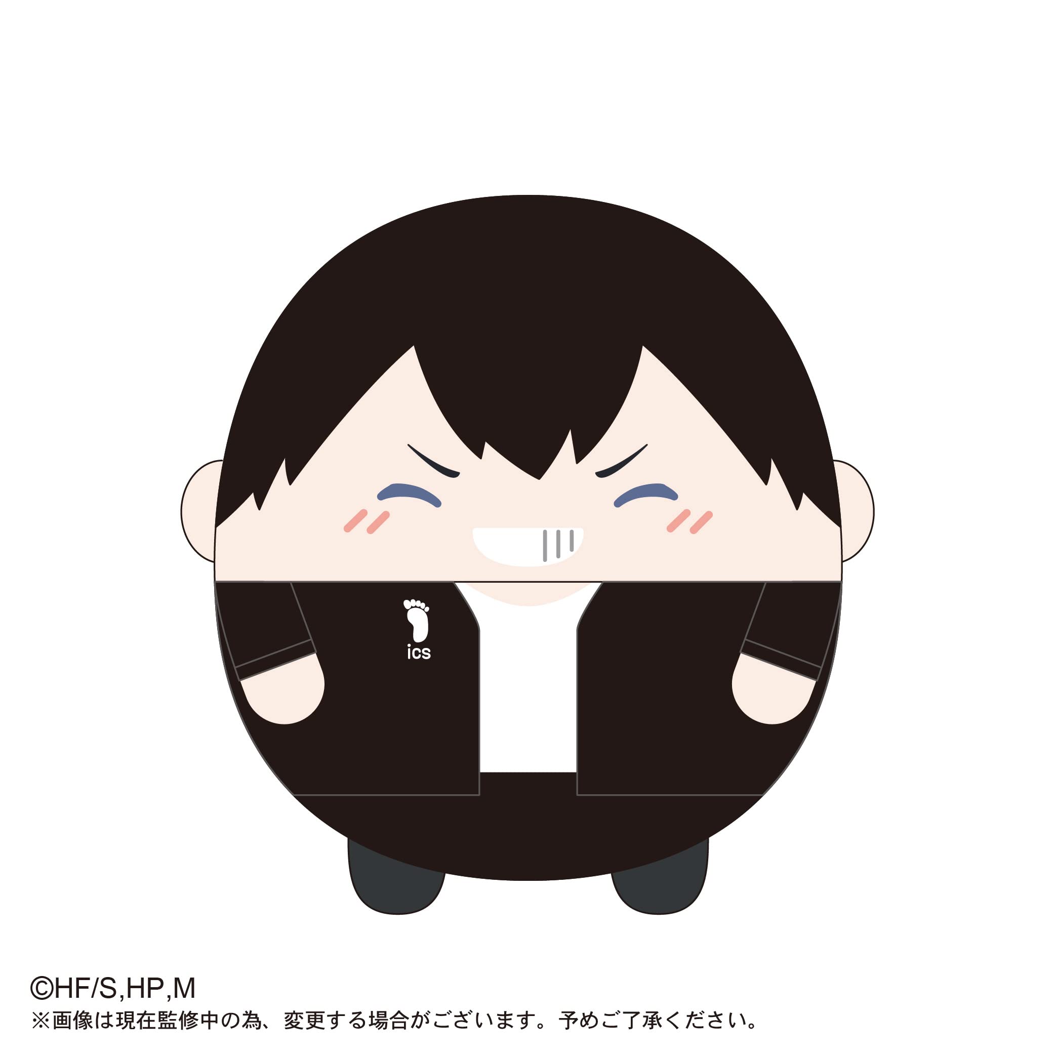 Haikyu Fuwakororin BIG Special B Kageyama Tobio