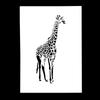 A4 Size Decorative Reusable Giraffe Stencil Template Painting Stencils for DIY Crafts Scrabooking Painting On Wood,Canvas,Floor,Wall and Tile