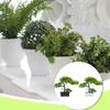 Potting Simulation Decorative Replacement Home Office Hotel Wine Cabinet Desktop Artificial Plant Decoration