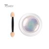 Health Caring 3g Glitter Holographic Rainbow Nail Art Powder Mirror Pigment with Mini Brush