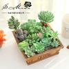 Plante Suculente Artificiale cu Flocking Verde Decor Acasă Dormitor Living Plante Artificiale Aranjament Floral DIY
