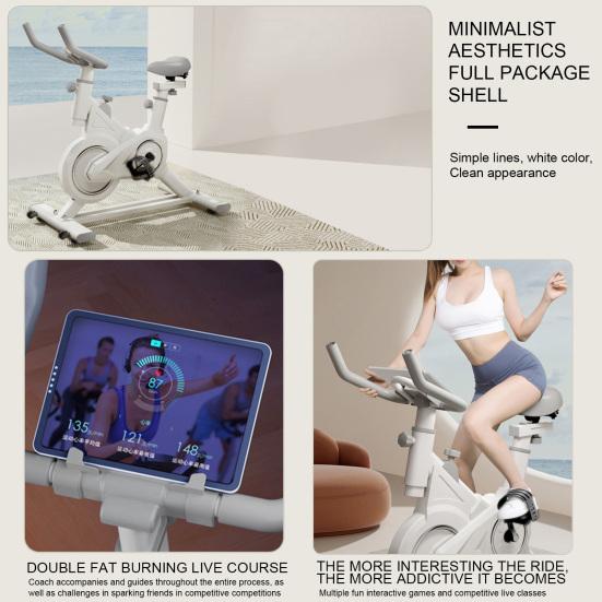 Heimtrainer Ergometer Indoor Cycling Bike Magnetischer Heimtrainer Fahrrad Heimtrainer aufrecht für Heim-Fitnessstudio-Workout mit Bremse Schwungrad