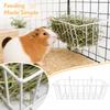 Small Pet Feeder for Rabbits and Pigs – Rack for, Hanging Feeding Tool