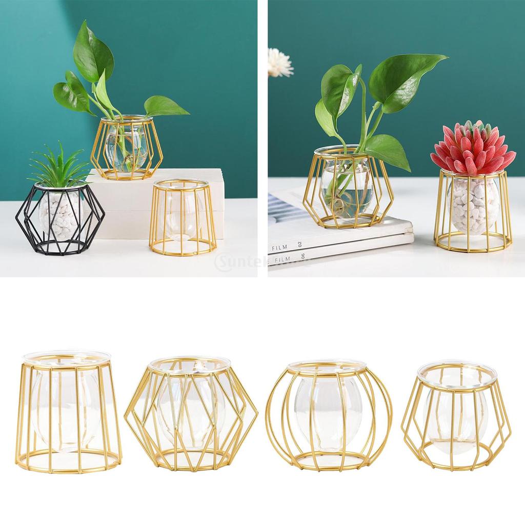Metal Wire 3D Geometric Hydroponics Vase Holder Watering Planter Flower Pots Test Tube Vase Plants Home Desktop Table Decor