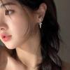 Brogan-style Earrings - New Style Earrings, Exclusive Women's High-end Jewelry, Luxurious and Exquisite.