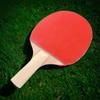 With 3 Balls Table Tennis Set Poplar Wood Comfort Handle Ping Pong Supplies Fall Prevention with Mesh Rack Ping Pong Paddle
