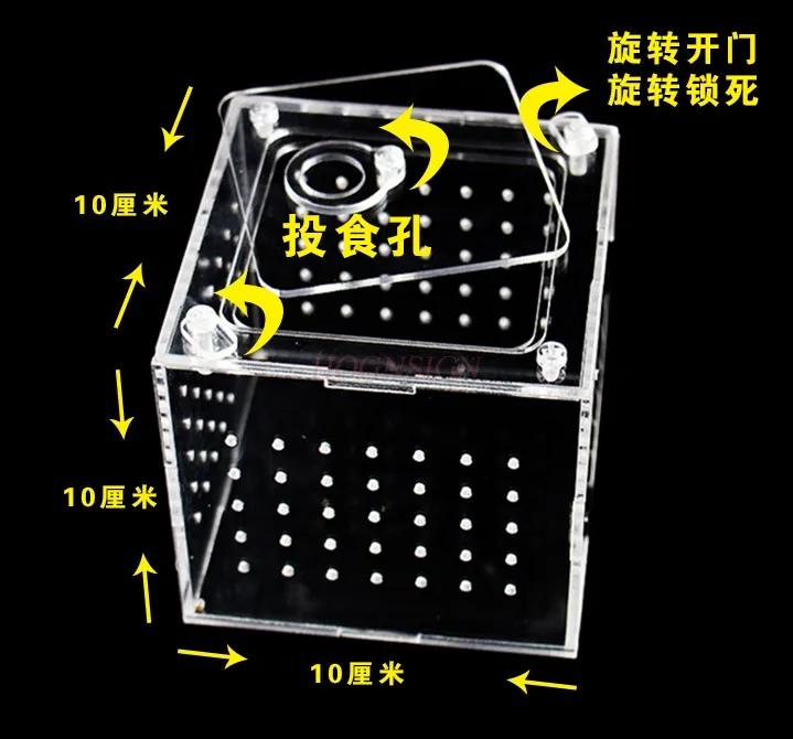 Crawling Pet Breeding Box Guard Palace Ciliary Horn Spider Horned Frog Insect Scorpion Family Snake Anti Escape Breeding Box
