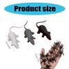 Bulk 12 Pieces Halloween Spiders Toy Assortment for Funny Goodie Bags Halloween Dark Craft PVC Spiders