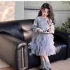 Girls Long Sleeve Dress A-Line Mesh Princess Kids Over 4 Years Old