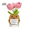 Healing Flower Design Positive Crochet Tulip Wildflower Thank You Gifts for Women Mom Friends Handmade Gift Potted Doll with Card Emotional