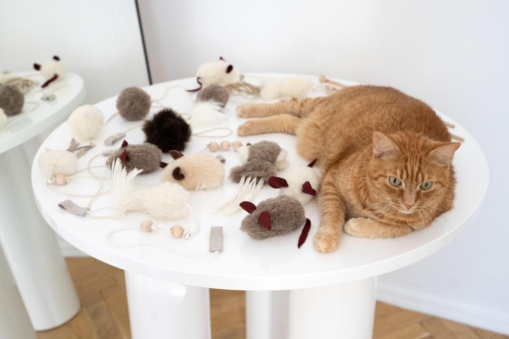 Natural Woolen Cat Toy: Mouse String